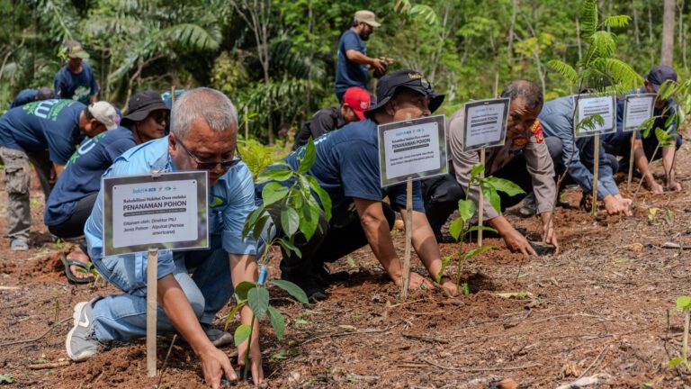 Upaya Merehabilitasi Habitat Owa Jawa di Desa Cikondang, Kemitraan PILI, Jejakin dan BCA Tanam 14.000 Pohon