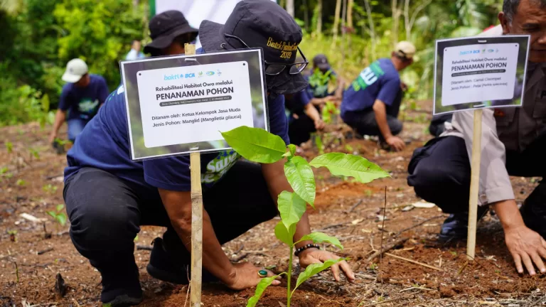 Kenapa Sih Ada Hari Gerakan Satu Juta Pohon? Ini Jawabannya!