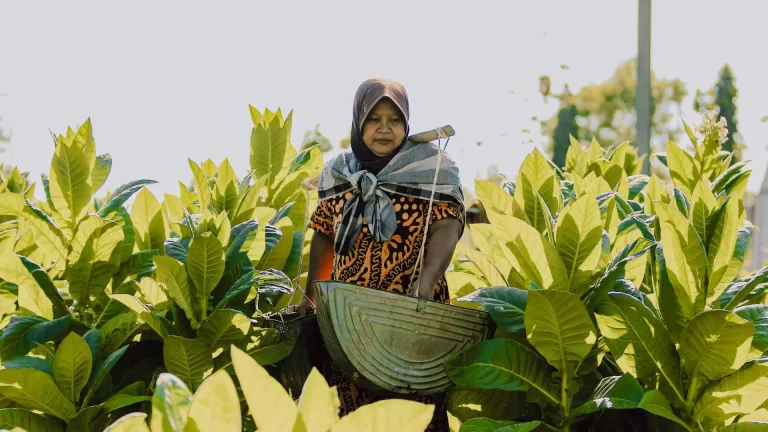 Menjadi Penjaga Warisan – Saatnya Pemuda Belajar dari Kearifan Lokal untuk Selamatkan Alam