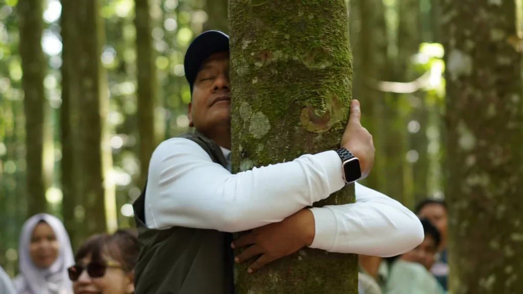 Jarang Disadari, Ini Alasan Manusia Tak Pernah Bisa Lepas pada Pohon