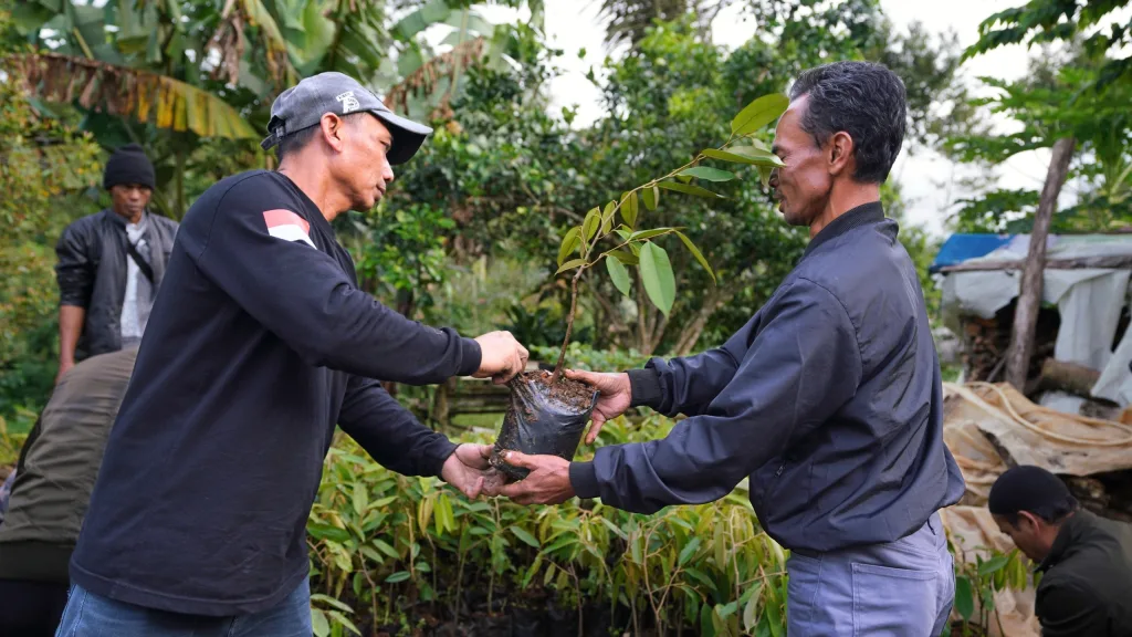 Pengadaan Bibit untuk Rehabilitasi Hutan dan Lahan (RHL) – Gisting, Tanggamus