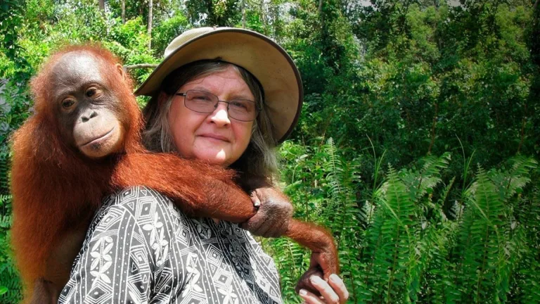 Siapa Birutė Galdikas? Leakey’s Angel Sang Penjaga Orangutan Kita!