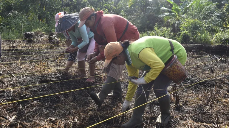 Pengetahuan Lokal Perempuan. Kunci Menjaga Alam yang Jarang Disadari